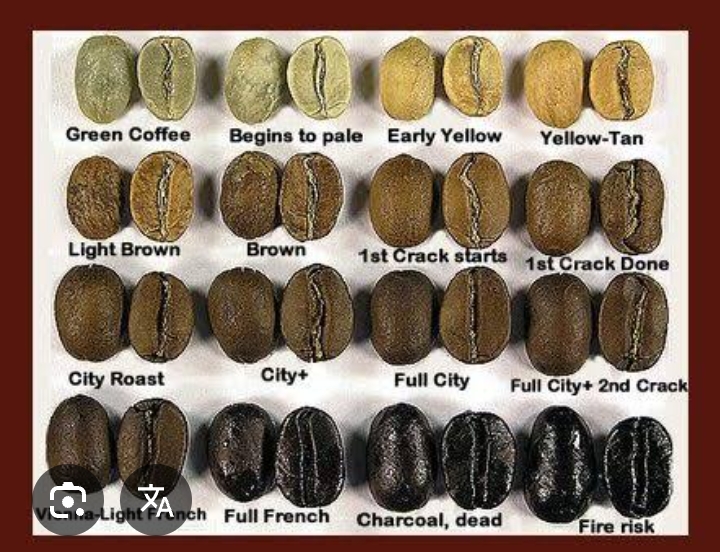 WhatsApp Image 2024-12-12 at 8.51.15 AM