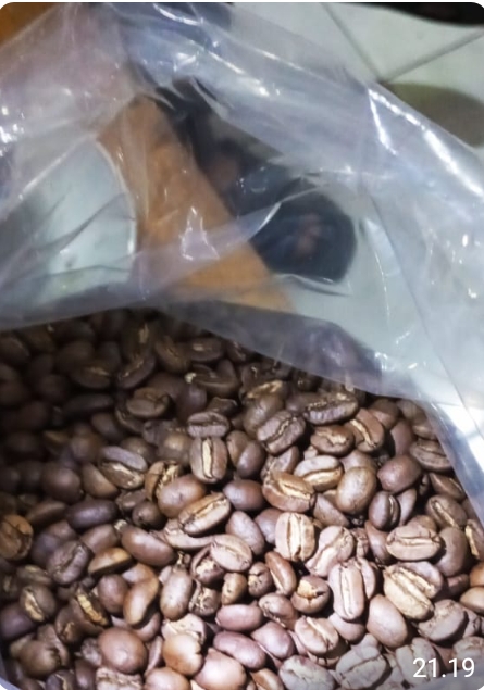 WhatsApp Image 2024-12-12 at 8.51.16 AM